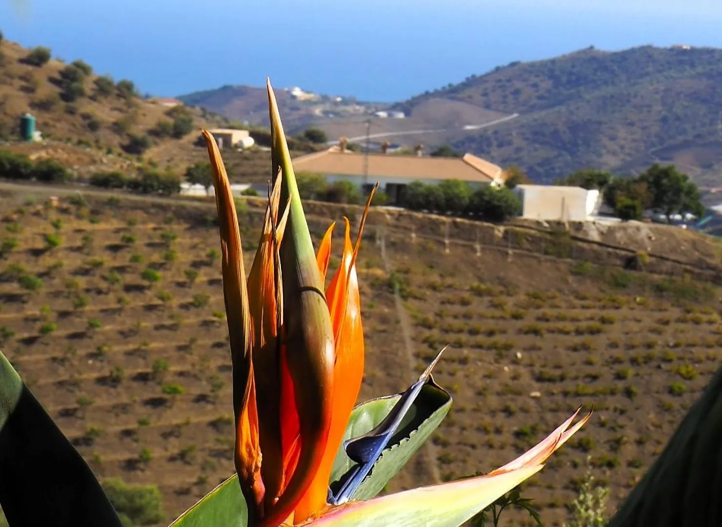 Casa Feliz Villa Iznate Spanien